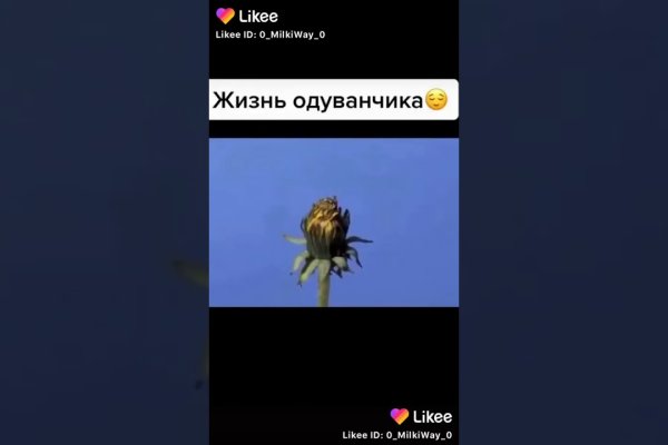 Через какой браузер зайти на кракен