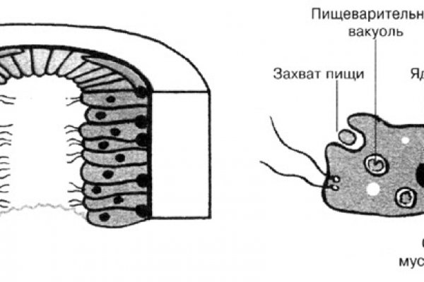 Работающий сайт кракен