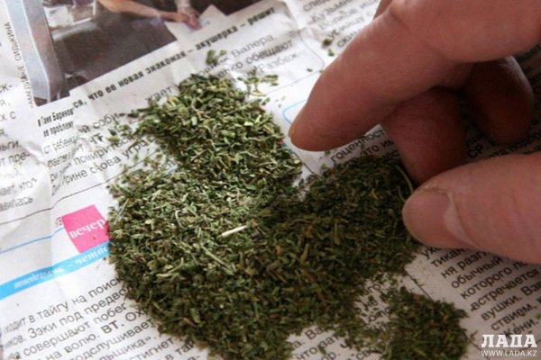 Что продают в кракен маркете