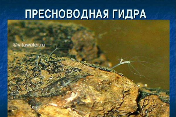 Kraken адрес